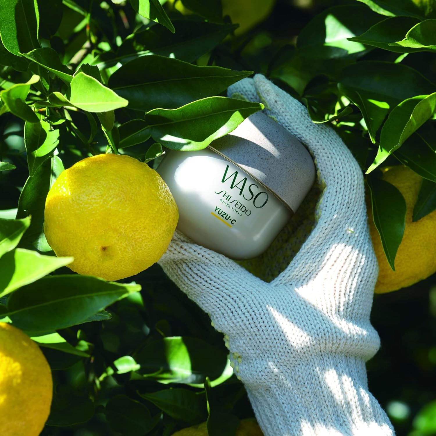 Shiseido Waso Yuzu-C Sleeping Mask