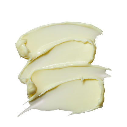 Torriden Solid In Cream 5D Multi Ceramide