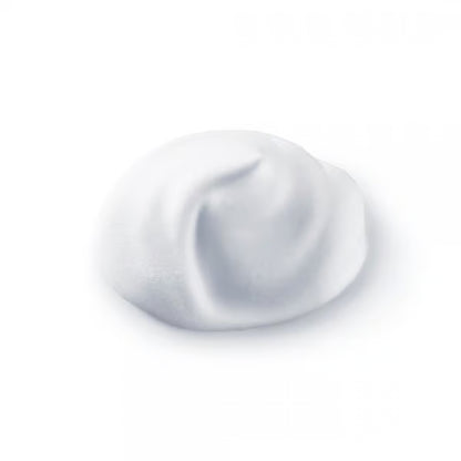 Shiseido Clarifyng Cleansing Foam