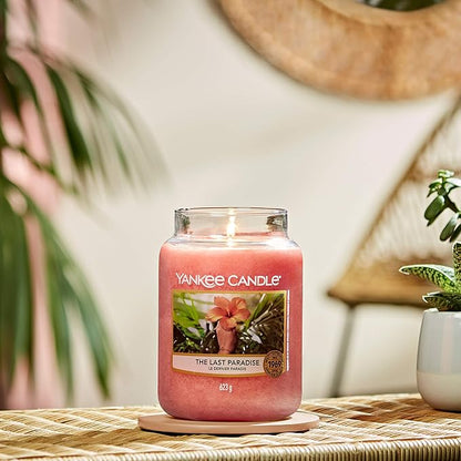 Yankee Candle The Last Paradise
