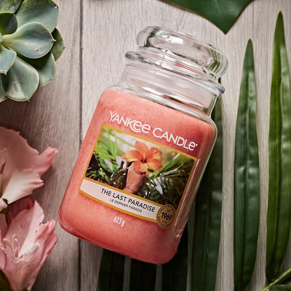 Yankee Candle The Last Paradise