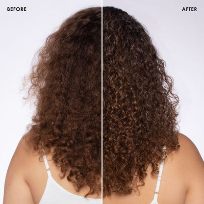 Olaplex Salon Intro Kit